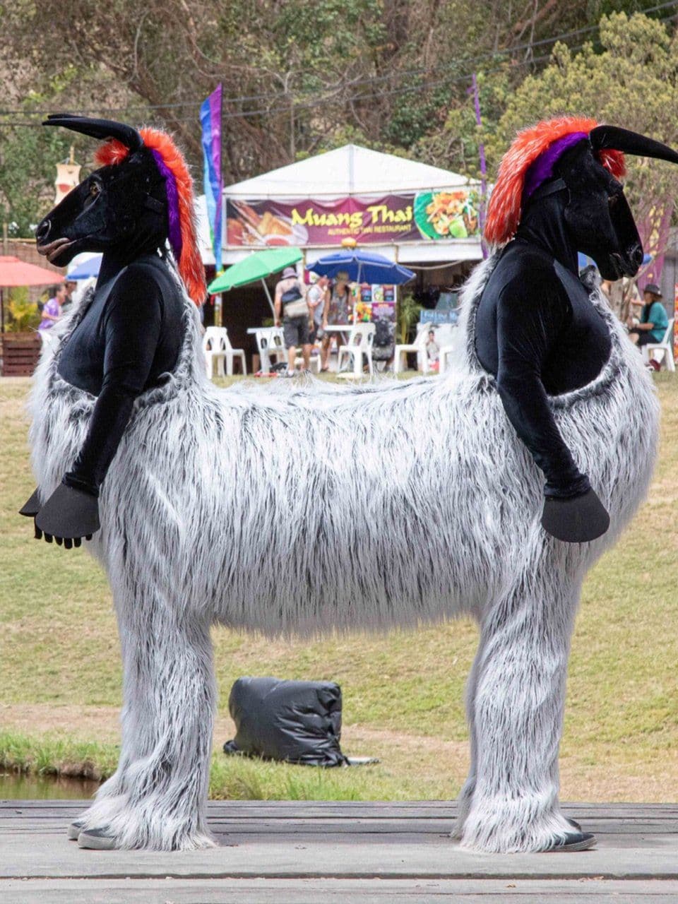 Comedy 2 Headed Horse
