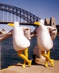 Roving Giant Seagulls