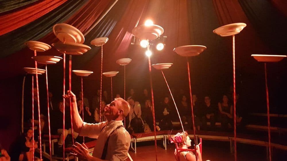 Family Circus Shows