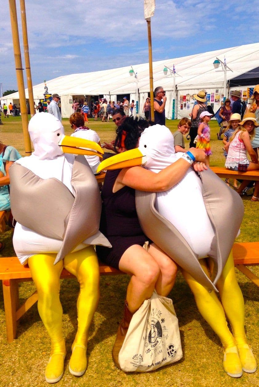 Roving Giant Seagulls