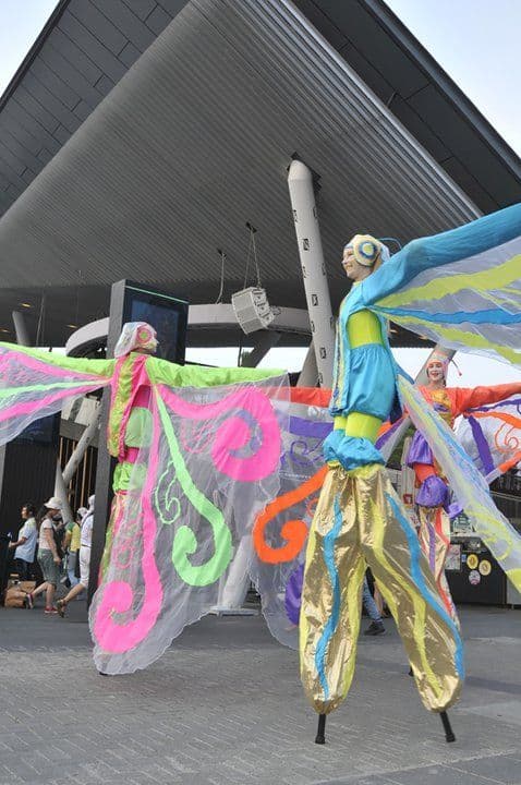 Stilt Butterflies