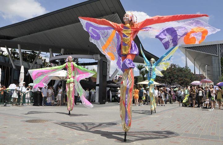 Stilt Butterflies
