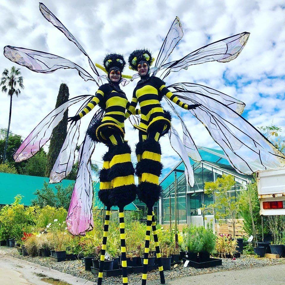 Stilt Bees