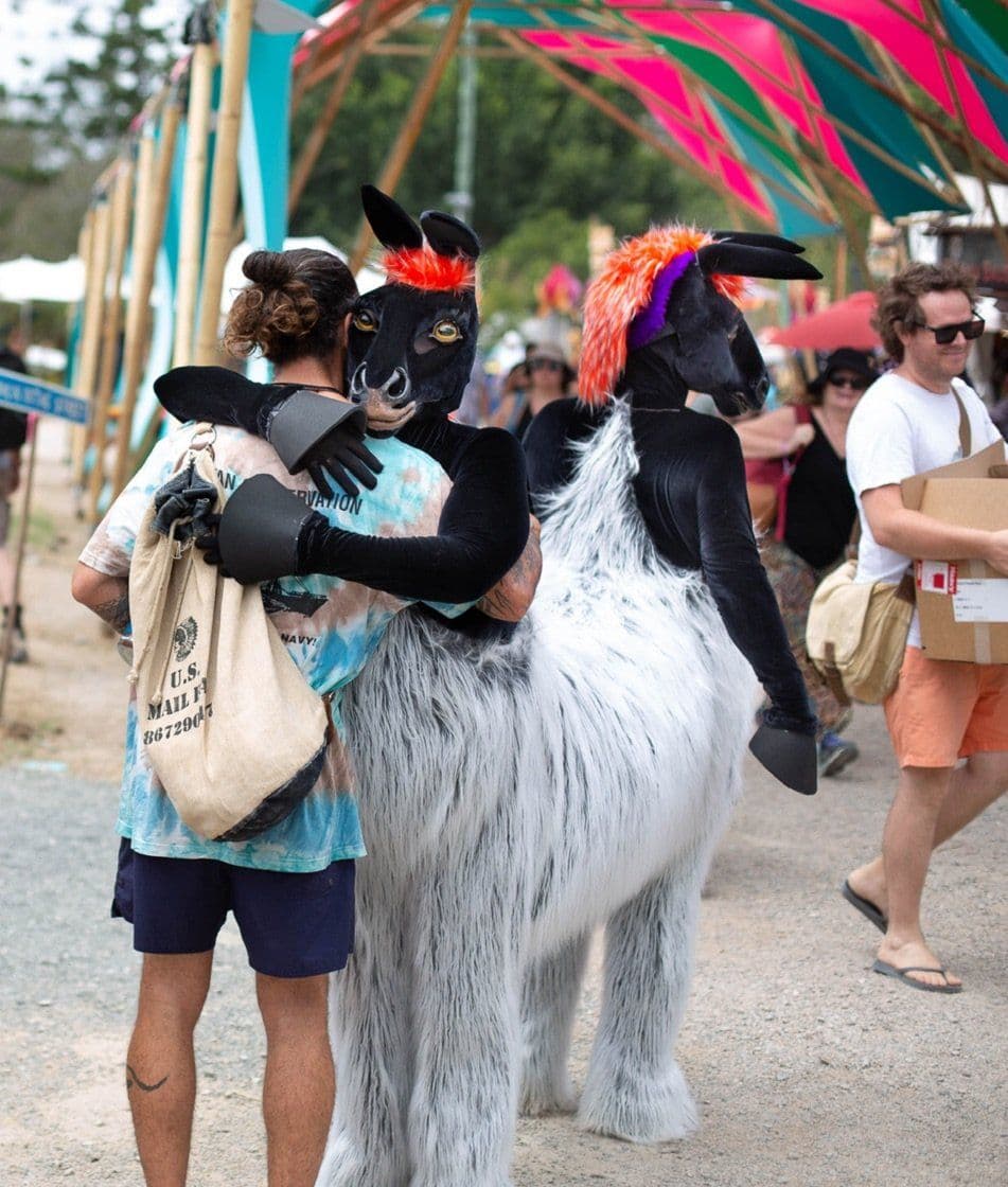 Comedy 2 Headed Horse