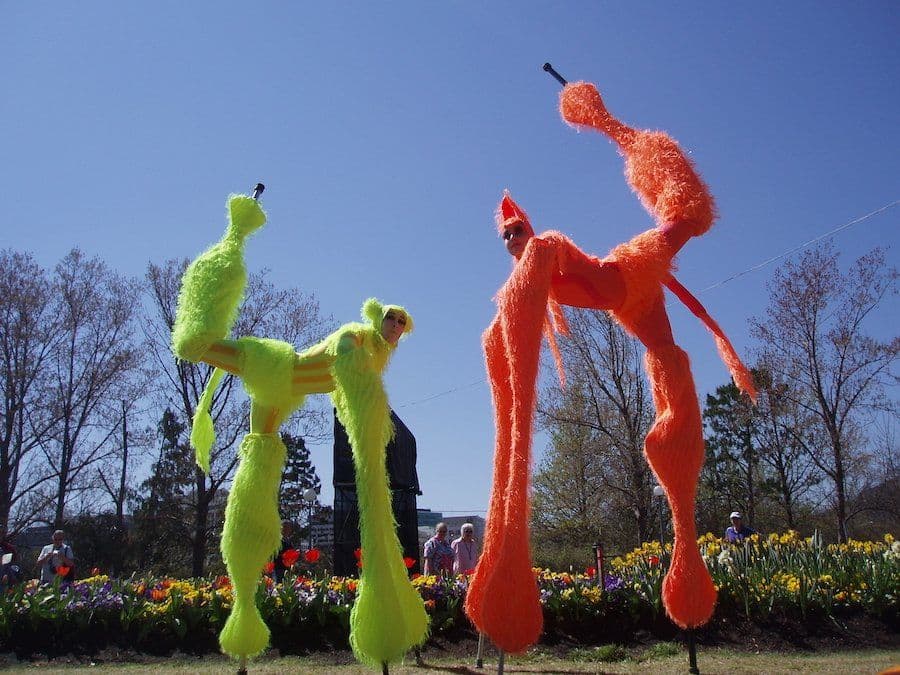 Stilt Anabuloos
