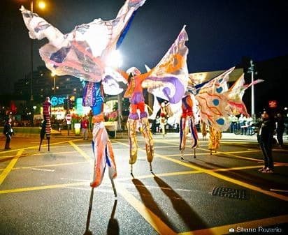 Stilt Butterflies