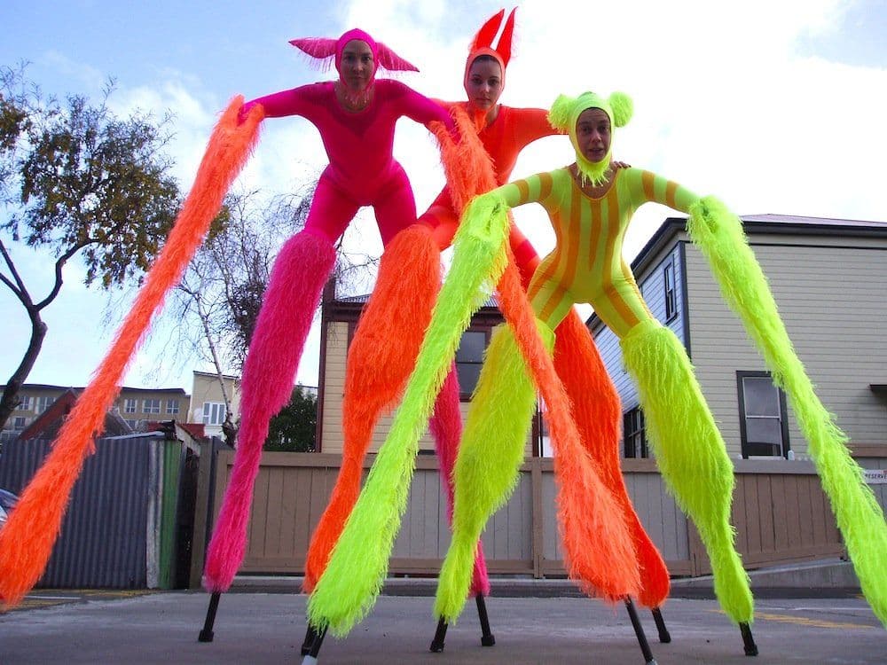 Stilt Anabuloos