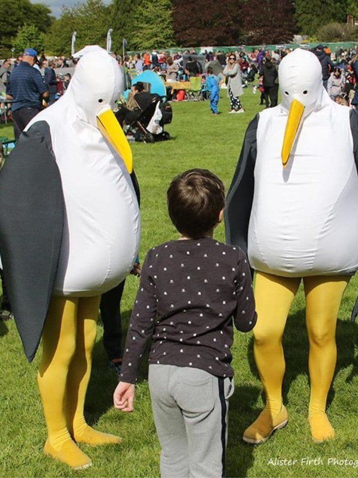 Roving Giant Seagulls