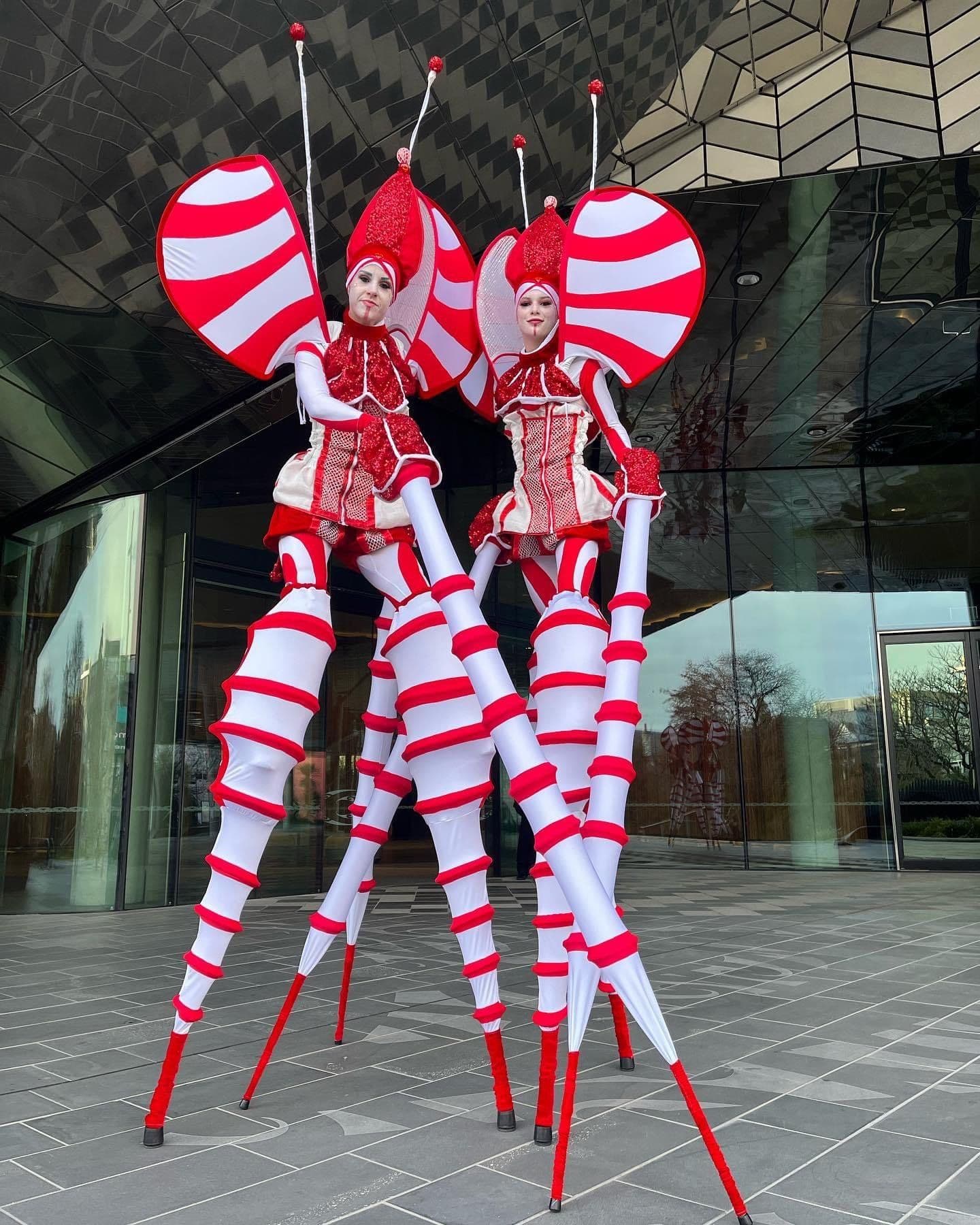 Stilt Cirque Bugs