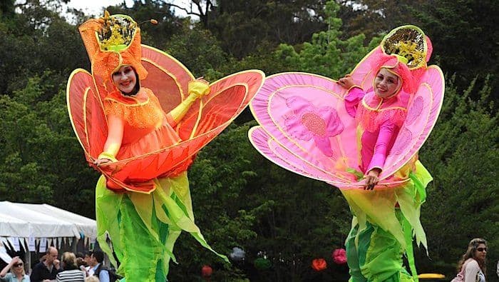 Stilt Flowers