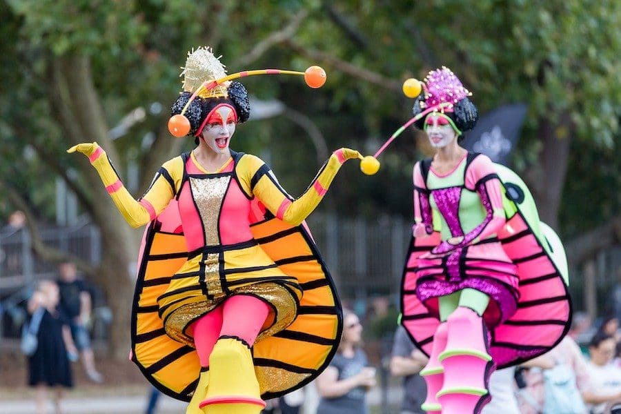 Stilt Lady Bugs