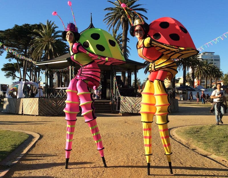 Stilt Lady Bugs