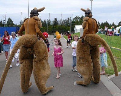 Stilt Kangaroos