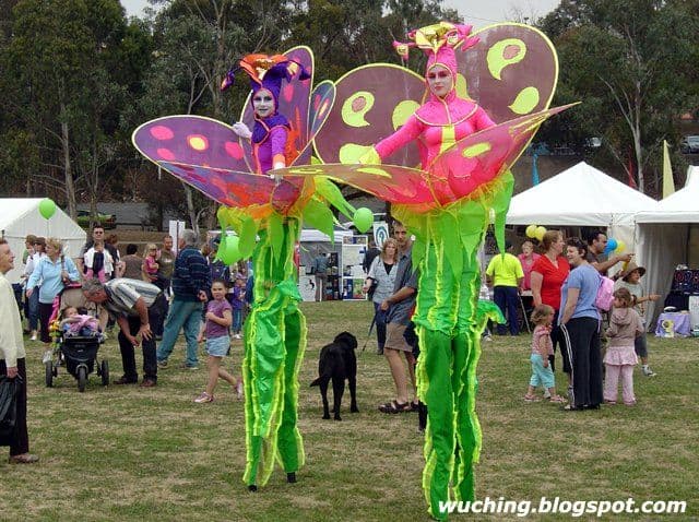 Stilt Flowers
