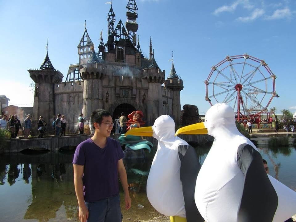Roving Giant Seagulls