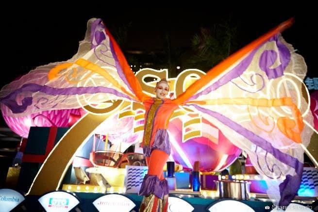 Stilt Butterflies