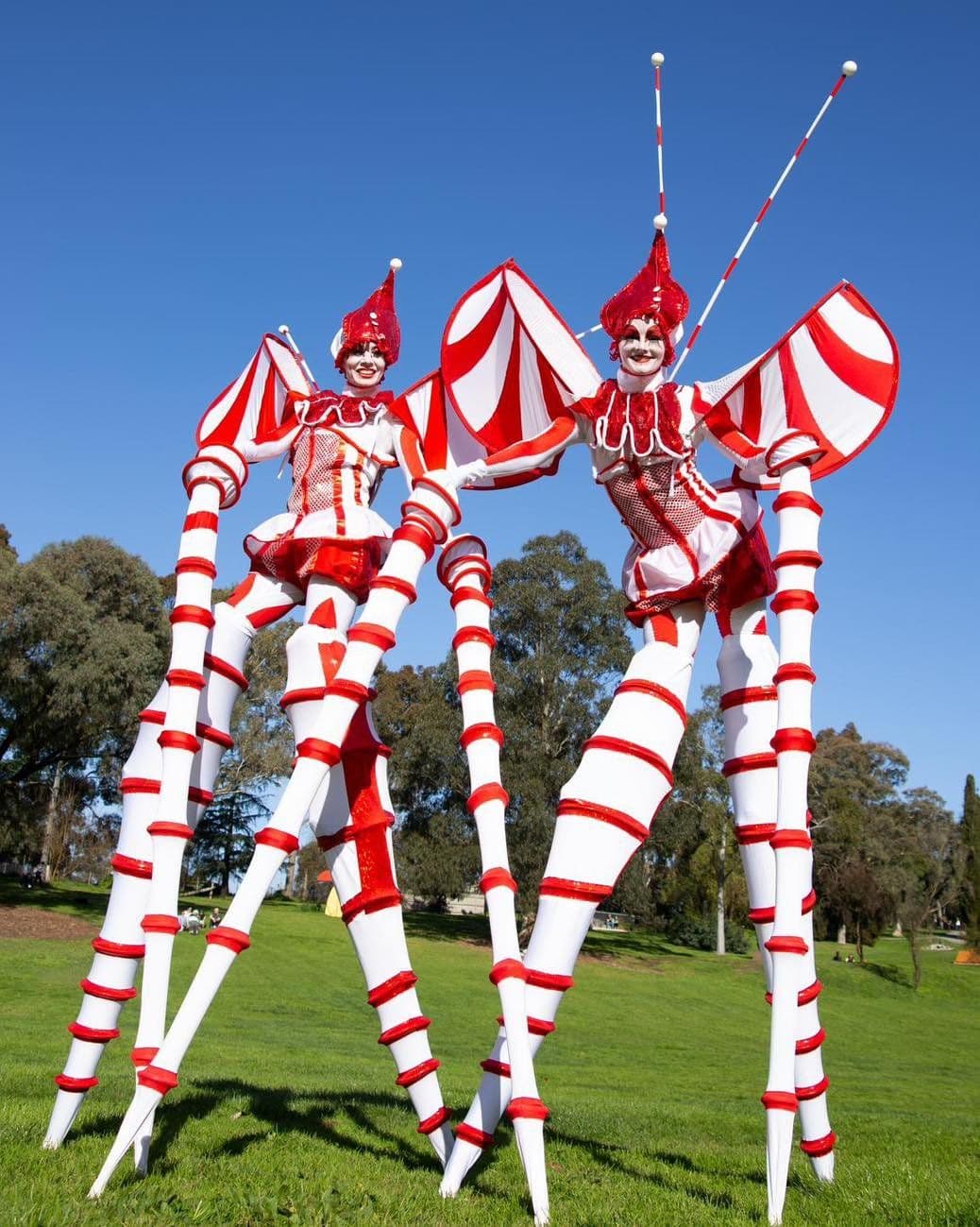 Stilt Cirque Bugs