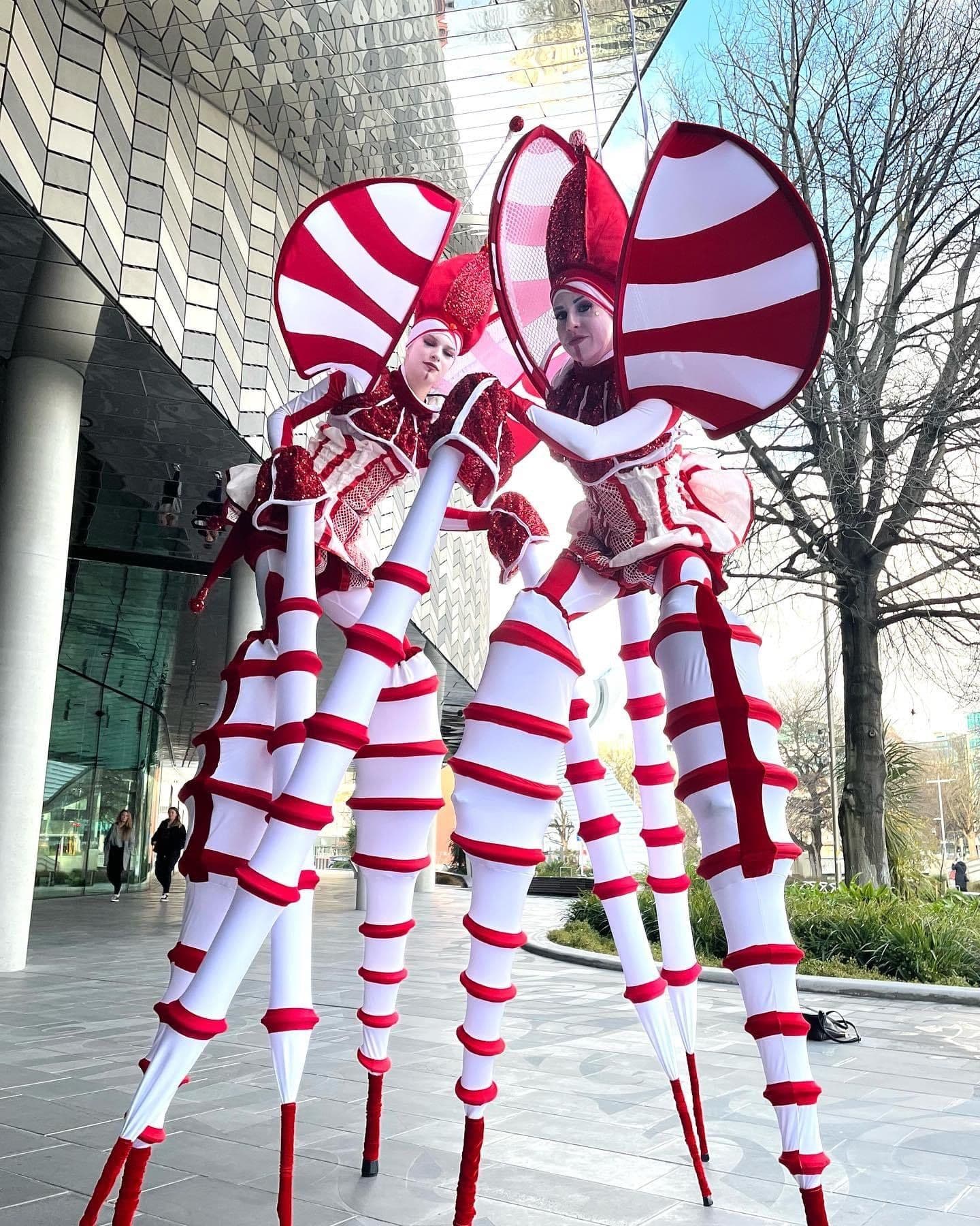 Stilt Cirque Bugs
