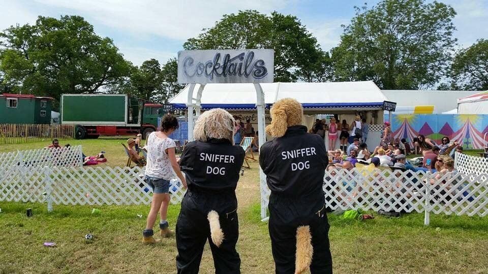 Hilarious Sniffer Dogs