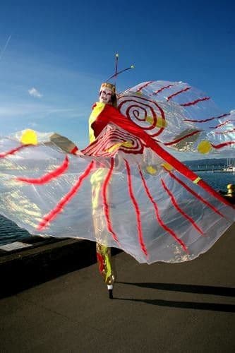 Stilt Butterflies