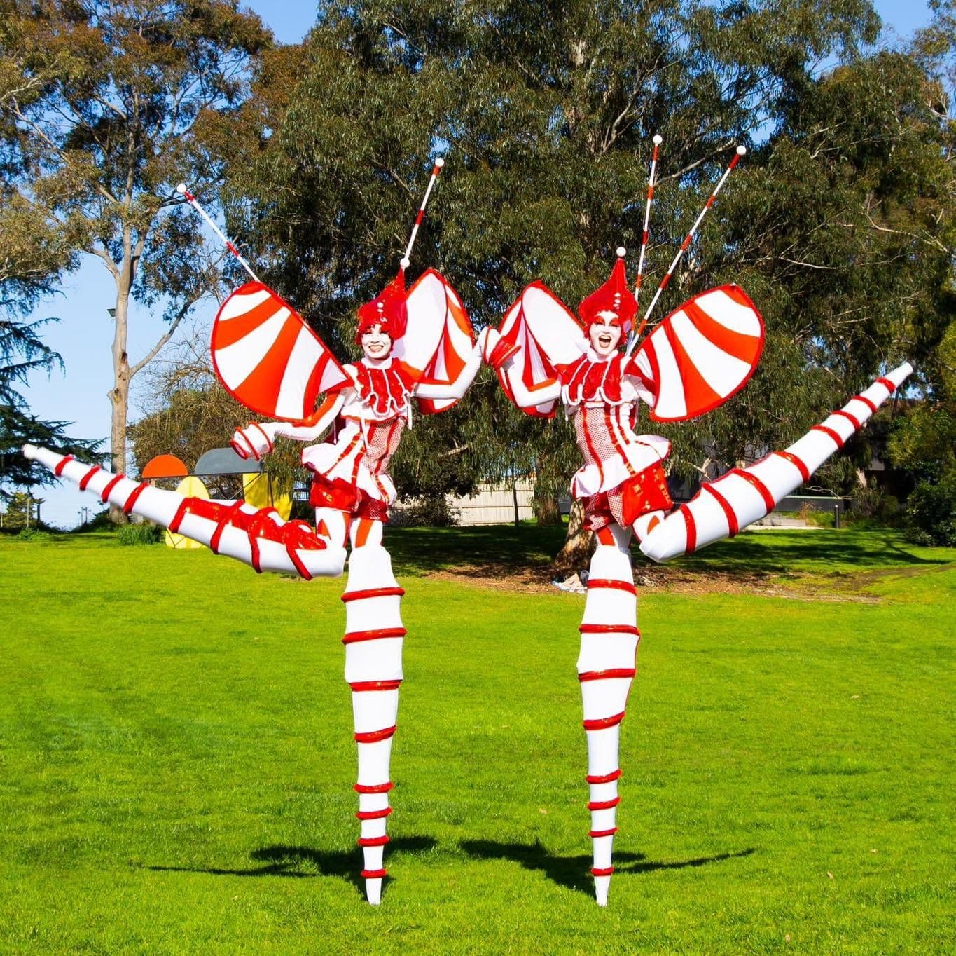 Stilt Cirque Bugs