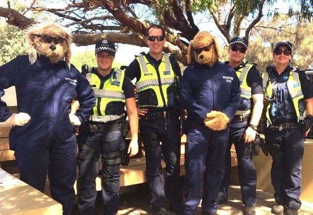 Hilarious Sniffer Dogs