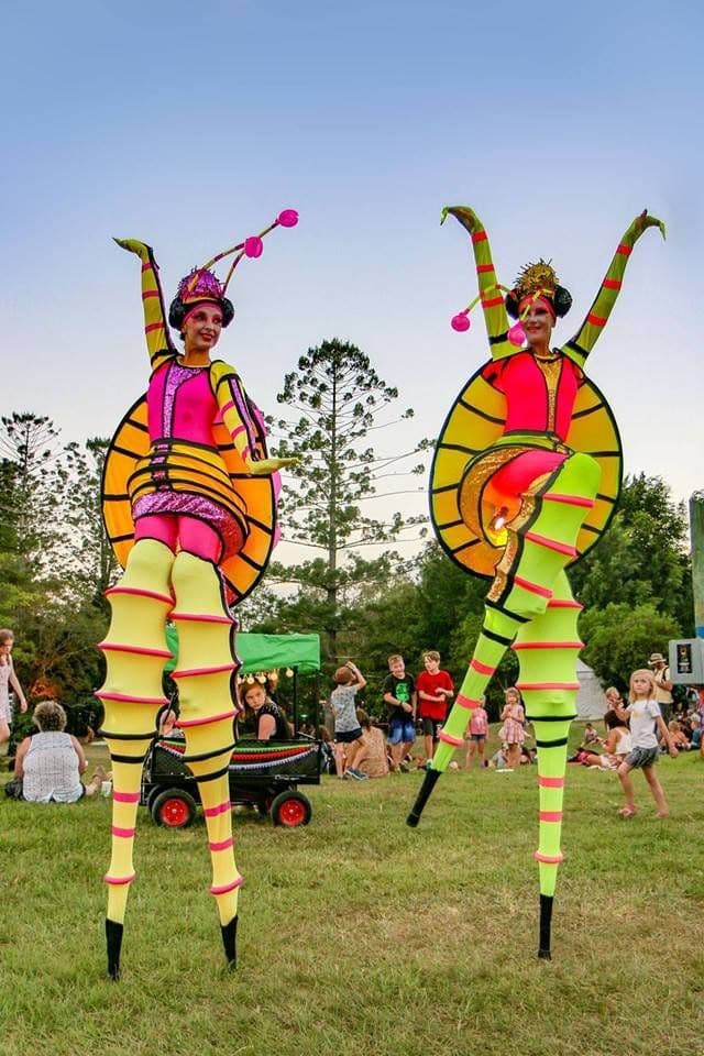 Stilt Lady Bugs