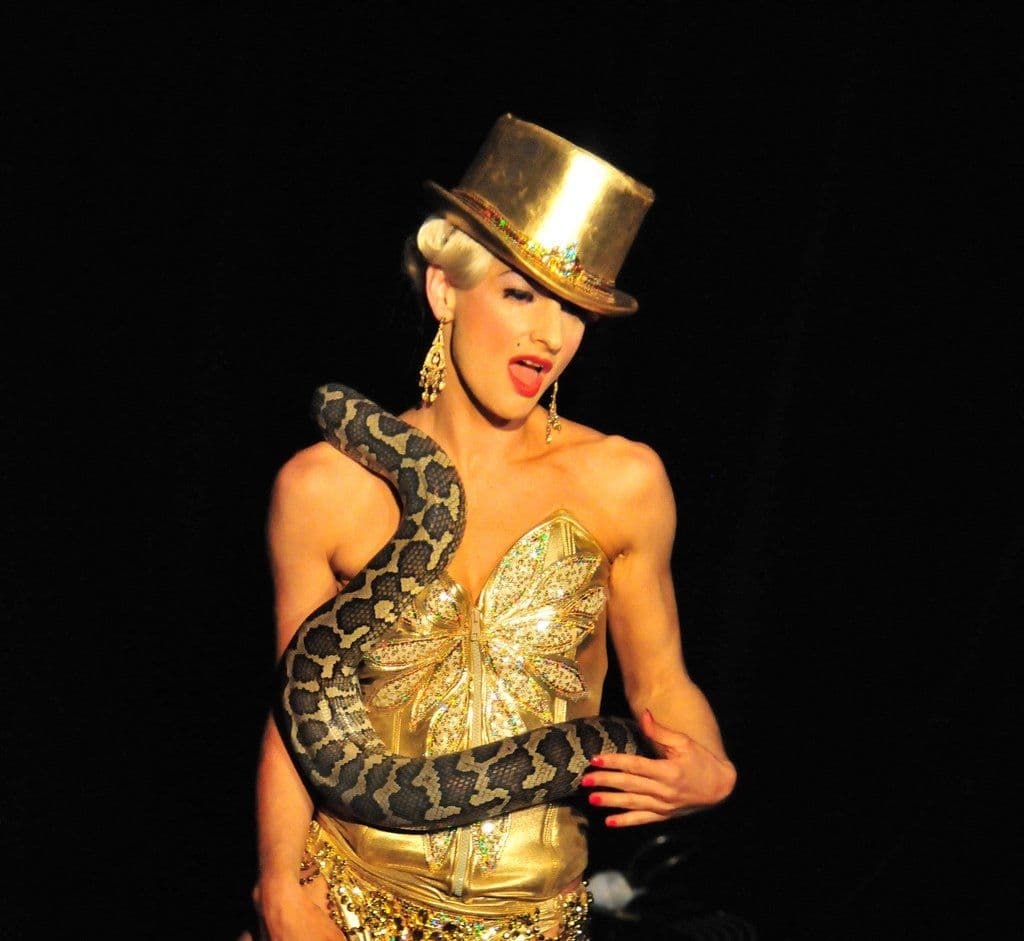 Vintage Burlesque & Snake