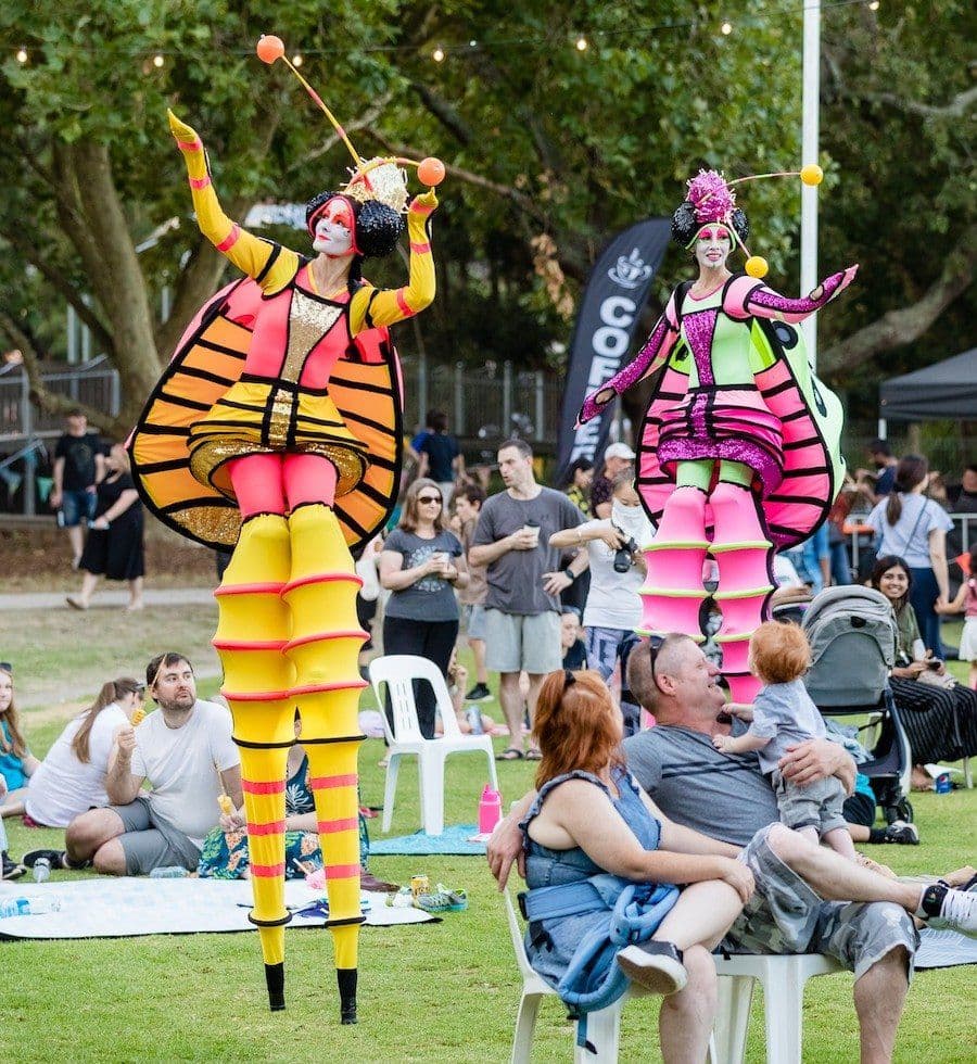 Stilt Lady Bugs