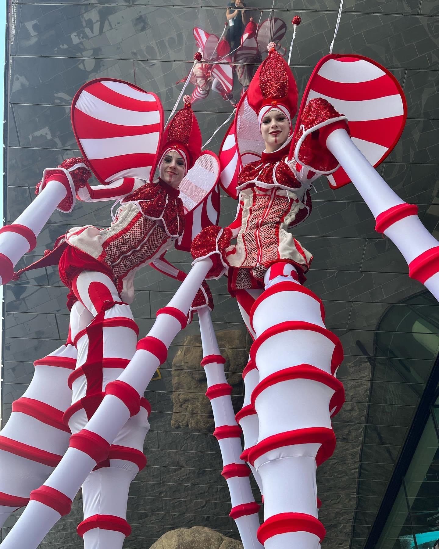 Stilt Cirque Bugs