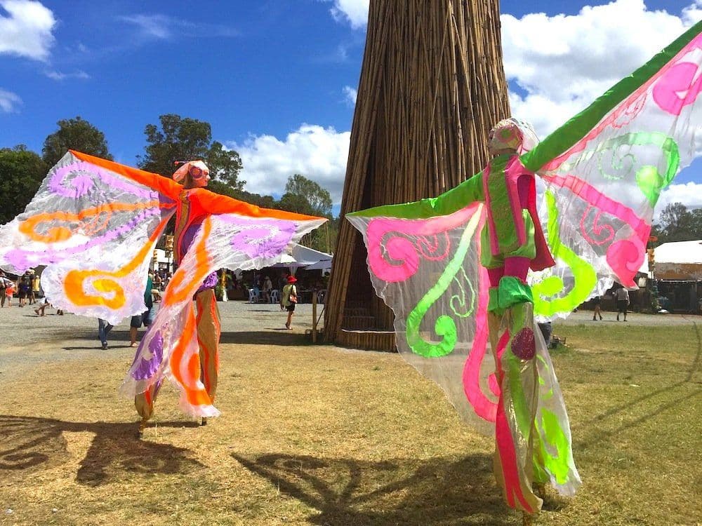 Stilt Butterflies