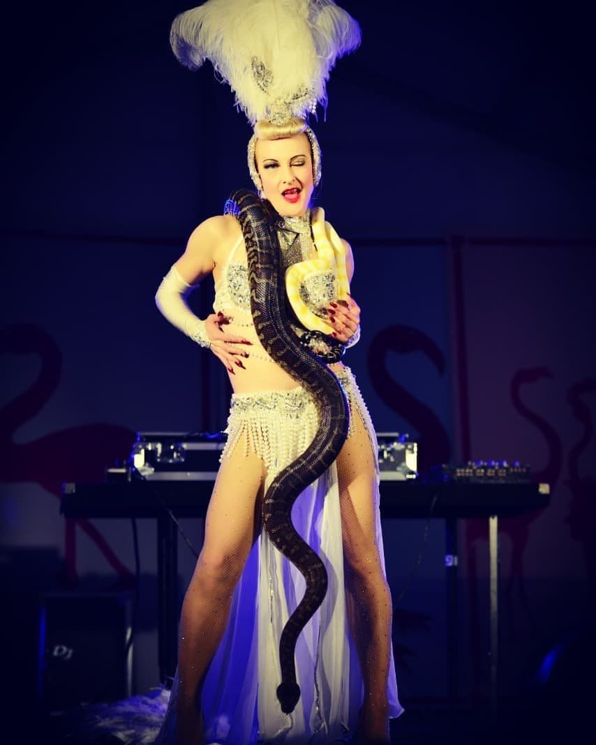 Vintage Burlesque & Snake