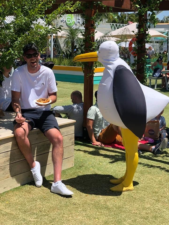 Roving Giant Seagulls