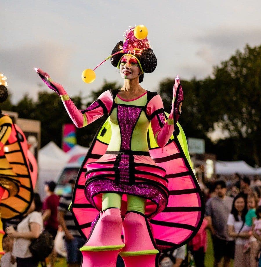 Stilt Lady Bugs