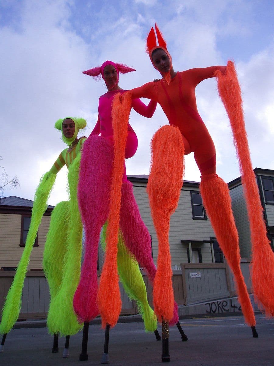 Stilt Anabuloos