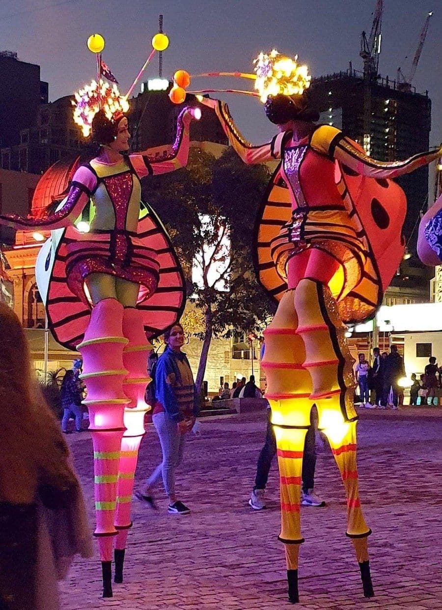 Stilt Lady Bugs