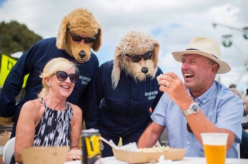Hilarious Sniffer Dogs