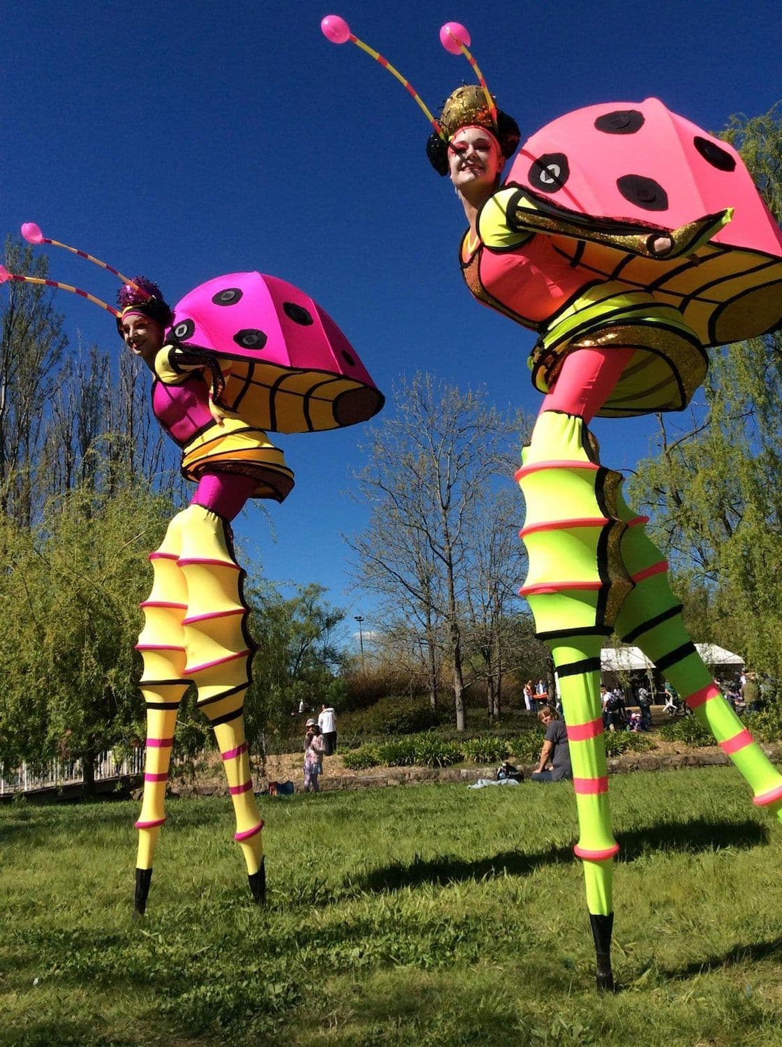 Stilt Lady Bugs