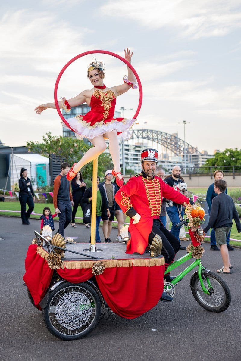 Aerial Bikes