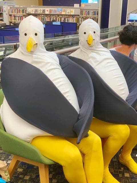 Roving Giant Seagulls