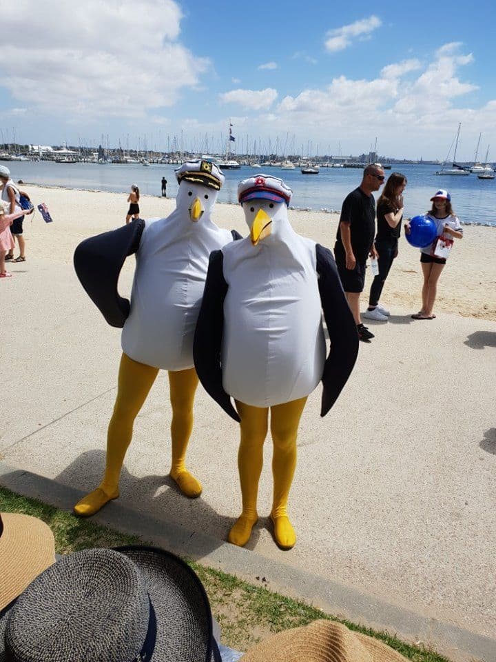 Roving Giant Seagulls