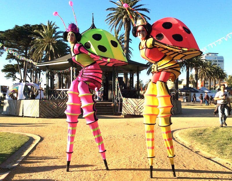 Stilt Lady Bugs