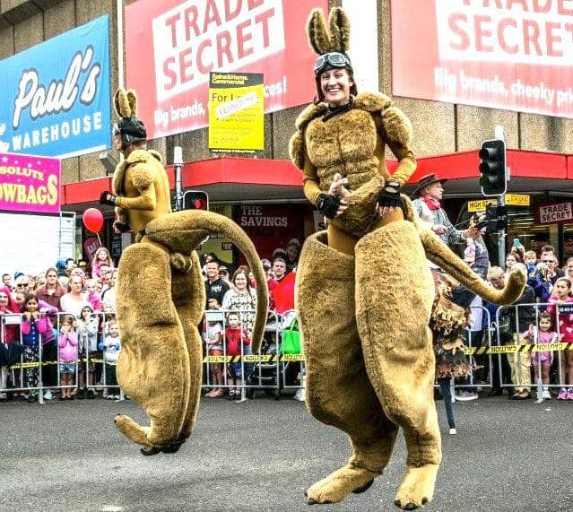 Stilt Kangaroos
