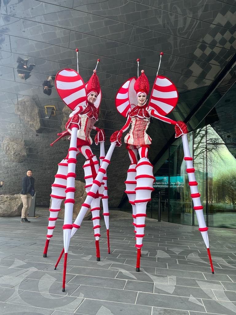 Stilt Cirque Bugs