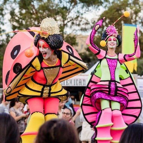 Stilt Lady Bugs