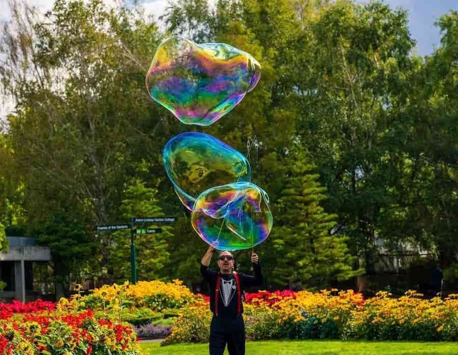 Bubble Show or Roving!