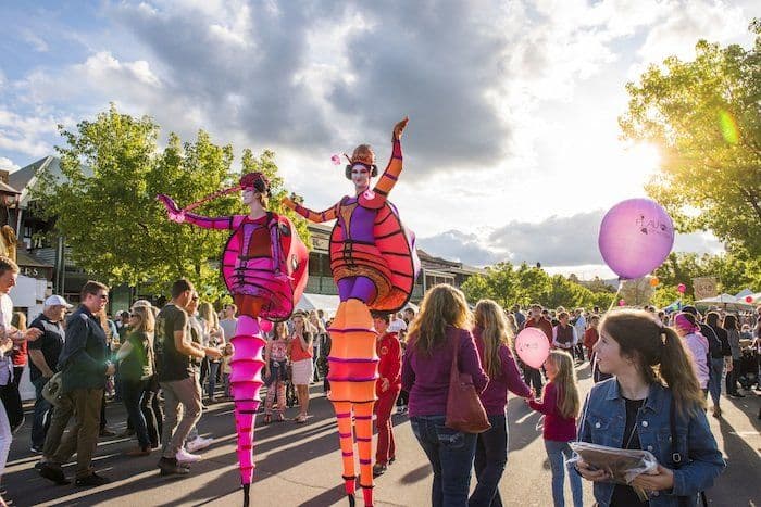 Stilt Lady Bugs
