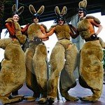 Stilt Kangaroos